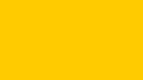16-9_Logo_Jaune